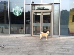-星巴克(北京三里屯SOHO一店)
