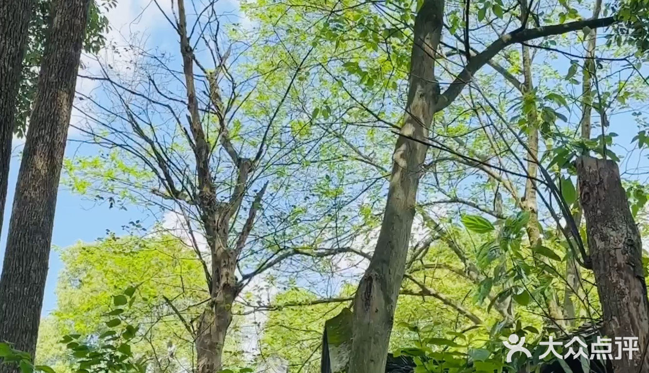 属于小镇咖啡馆的春和景明