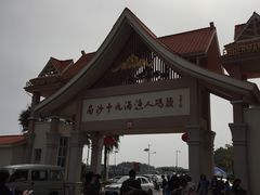 -大湾区中央湿地公园-十九涌