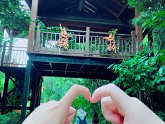 -三亚亚龙湾人间天堂鸟巢度假村
