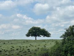 -塞罕坝国家级自然保护区