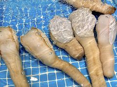 -三亚火车头万人海鲜广场