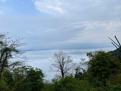 -大围山国家森林公园