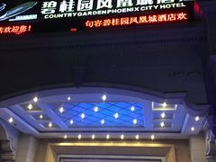 -碧桂园凤凰城酒店(南京店)