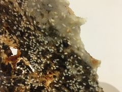 -阿甘锅盔(清河万象汇店)