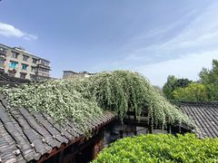 -见山书院