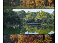 -中国科学院华南植物园
