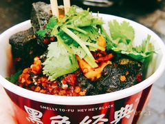 -黑色经典臭豆腐·湖南特产(坡子街店)