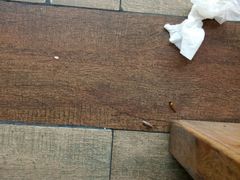 -好伦哥(温都水城店)