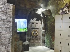 -暴风岛沉浸式体验馆(百联世纪店)