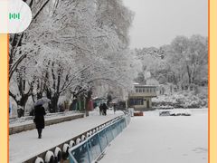 -望溪公园