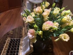 -iSpa
