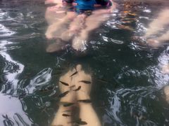 -咸宁万豪温泉谷度假区