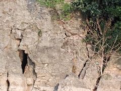 -石钟山