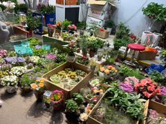 -循礼门鲜花花市(武汉循礼门店)