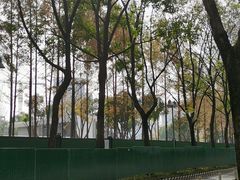 -后襄河公园