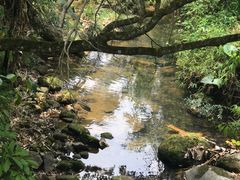 -广州市石门国家森林公园