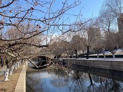 -元大都城垣遗址公园