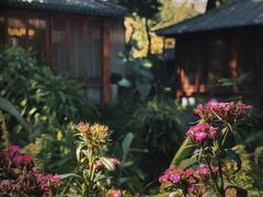 -大妙火锅·非物质文化遗产(东湖公园店)