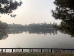 -北坞公园