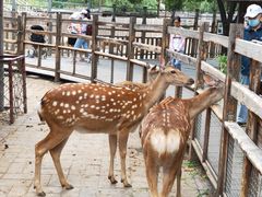 -北京鹿世界主题园