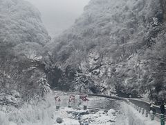 -陕西省红河谷森林公园