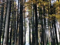 -采石矶景区