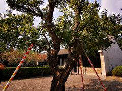 -上海市龙华烈士陵园