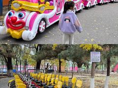 -长白岛森林公园