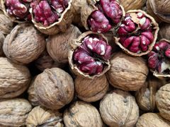 -新疆国际大巴扎