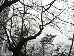 -无印良品(池袋西武店)