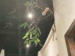 -春天来了(印象新天地店)