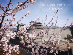 -居庸关长城