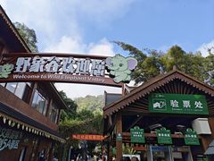 -野象谷景区