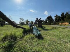 -云南野生动物园