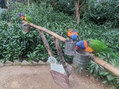 -南宫五洲植物乐园