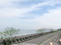 -上海滨江森林公园
