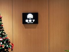 -榕树下·茶生活美学空间(江东中路店)