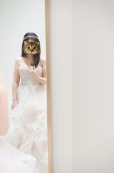 婚纱-Chic Bridal 熙可婚纱