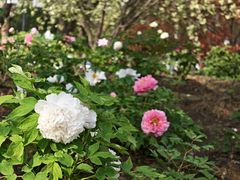 -江南大学(蠡湖校区)