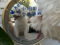 -小意思咖啡店(草桥店)