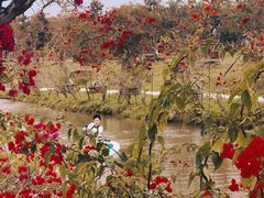 -白沙门生态公园