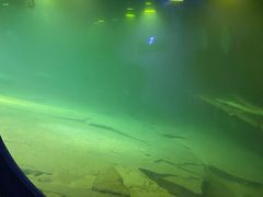 -白鹤梁水下博物馆