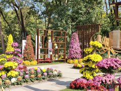 -上海共青森林公园