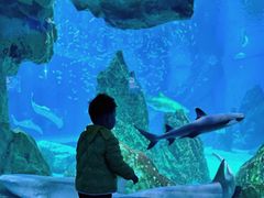 -海合安成都极地海洋公园