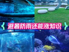 -正佳极地海洋世界