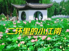 -陶然亭公园