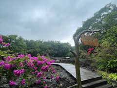 -海口火山口国家地质公园
