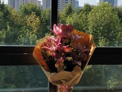 -上海市黄浦区香山中医医院