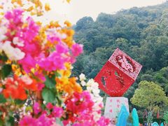 -东莞观音山旅游风景区